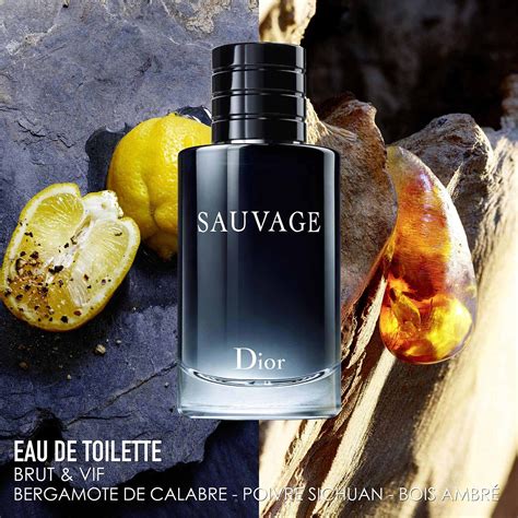 sephora montréalau eau ssovage dior|dior sauvage eau de toilette.